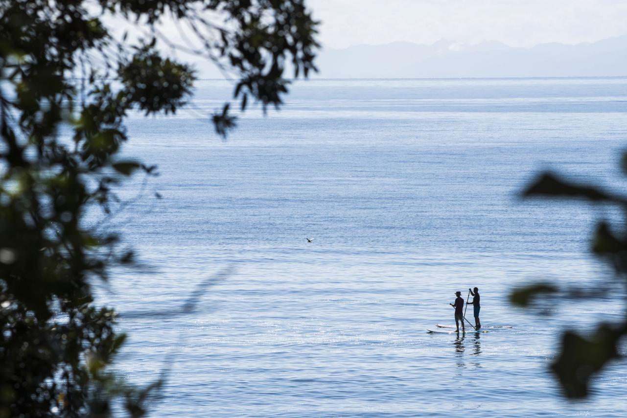 Stand up paddle boarders on the ocean