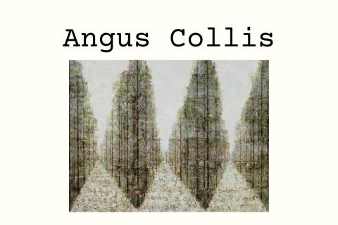 Angus Collis