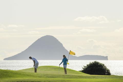 Golfers with Moutohora in the background