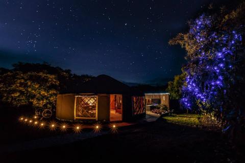 The Grove Home Stay at night