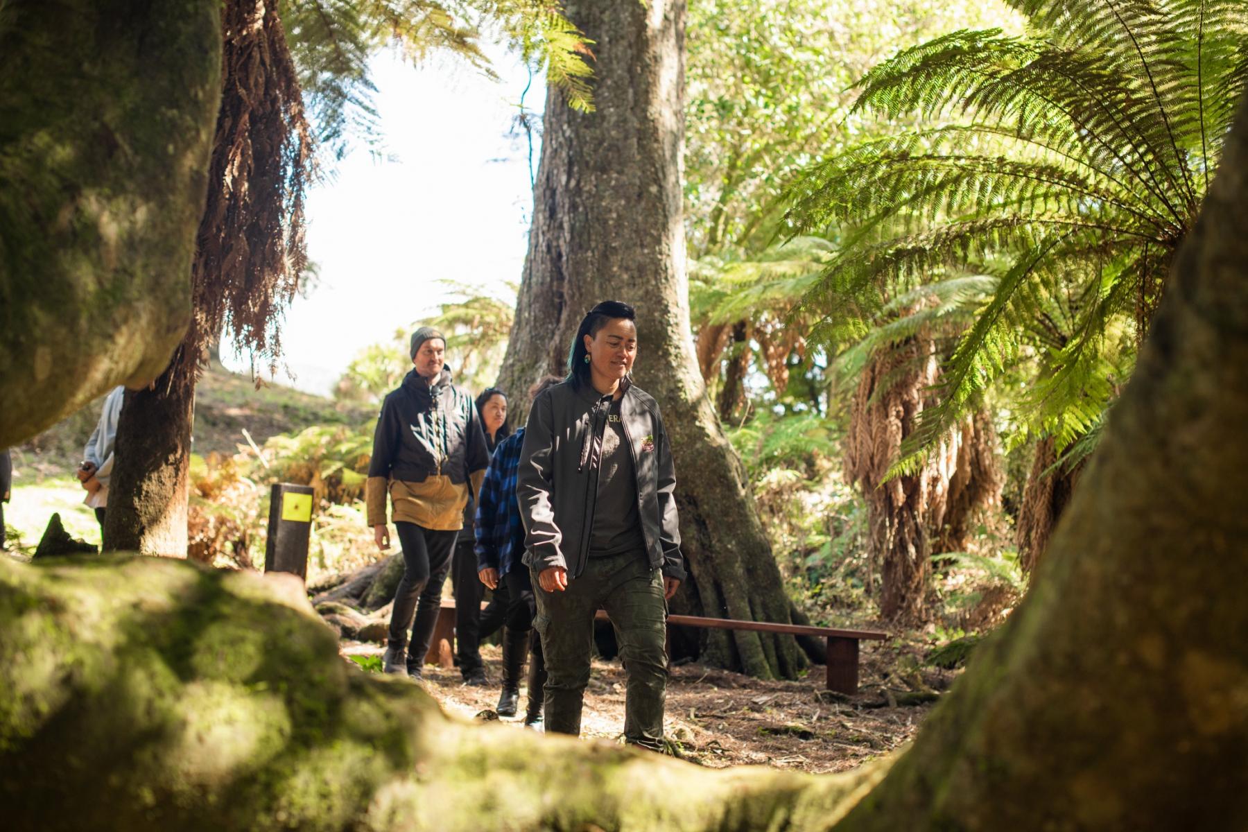 te urewera treks