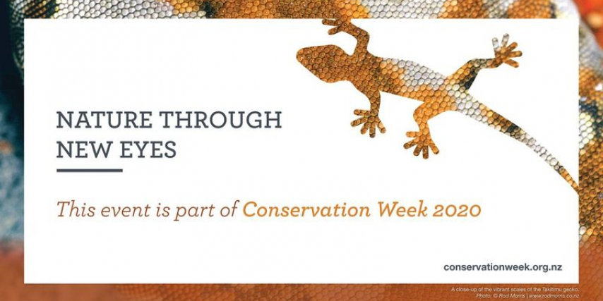 Nature Through New Eyes. Conservation Week 2020