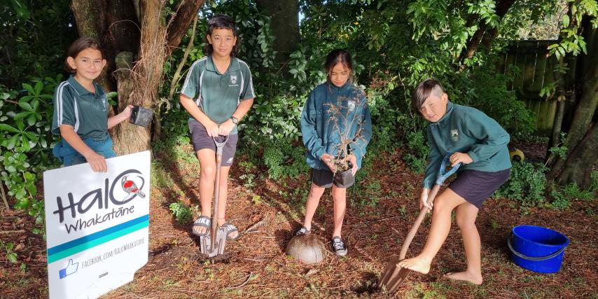 Planting the Constellation - Matariki Event