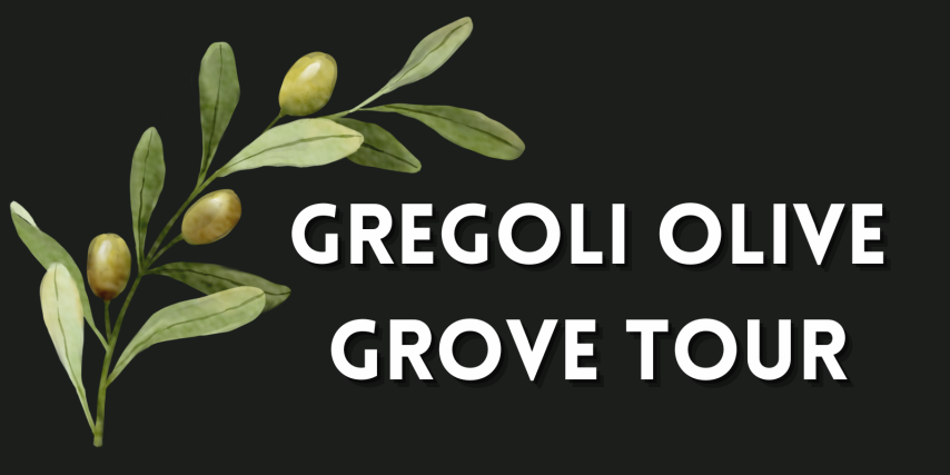 Gregoli Olive Grove Tour