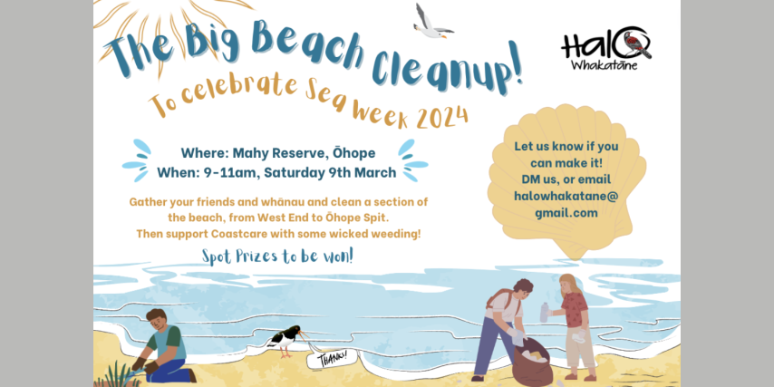 The Big Beach Clean Up!