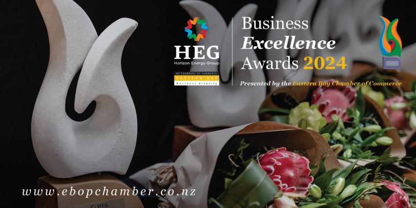 HEG Business Excellence Awards 2024