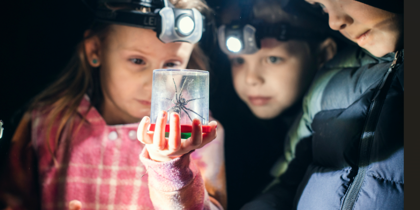 Kids Discovery Dusk Walk!