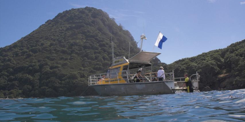 Diveworks boat at Moutohora