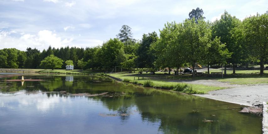 Lake Aniwhenua and playground