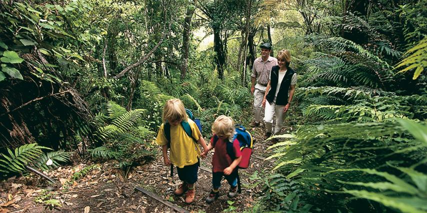 Family walking Latham's Track