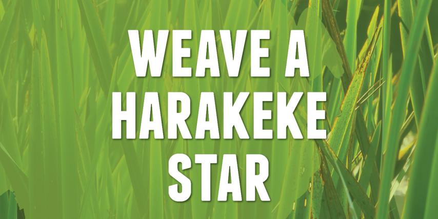 Weave a harakeke star