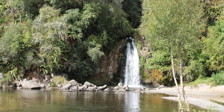 Mangamate, Whirinaki Forest Park