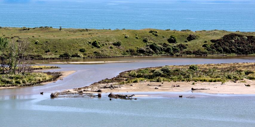 Te Toka site