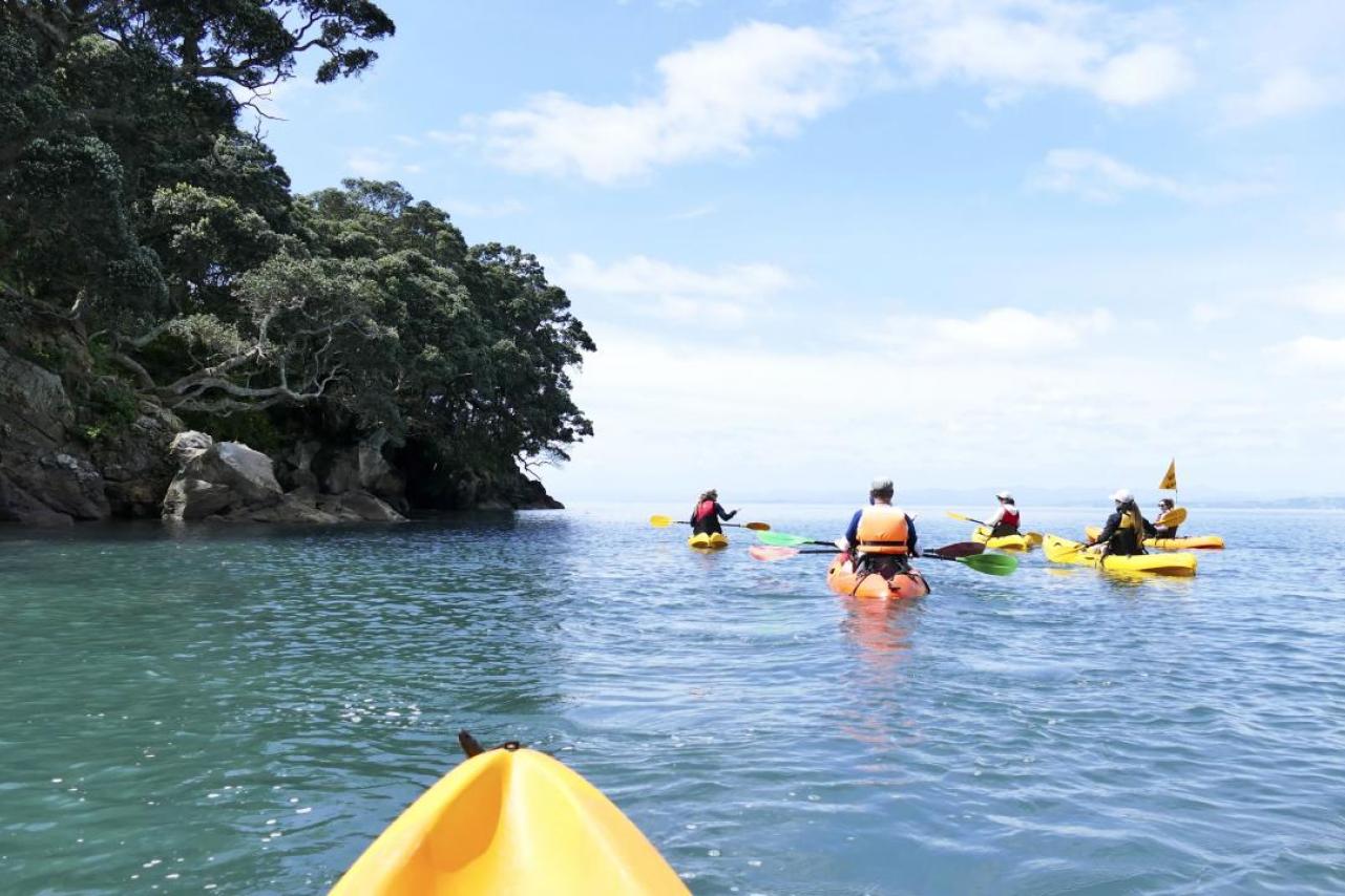 Kayaking Moutohora