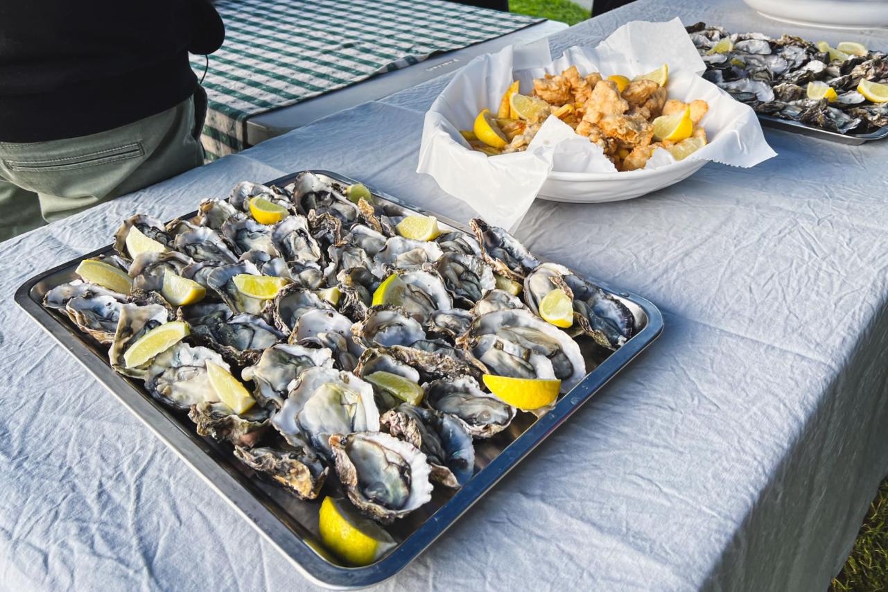 Ohiwa Oyster Farm Lunch