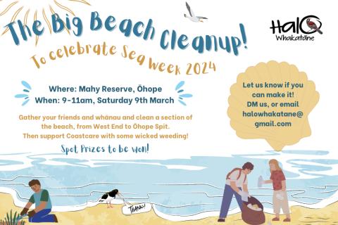 The Big Beach Clean Up!