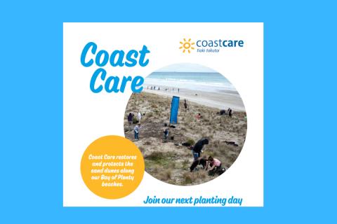 Coast Care planting day
