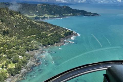 Bay of Plenty Helicopters 2