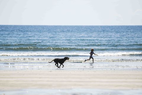 Ōhope beach dog & child running